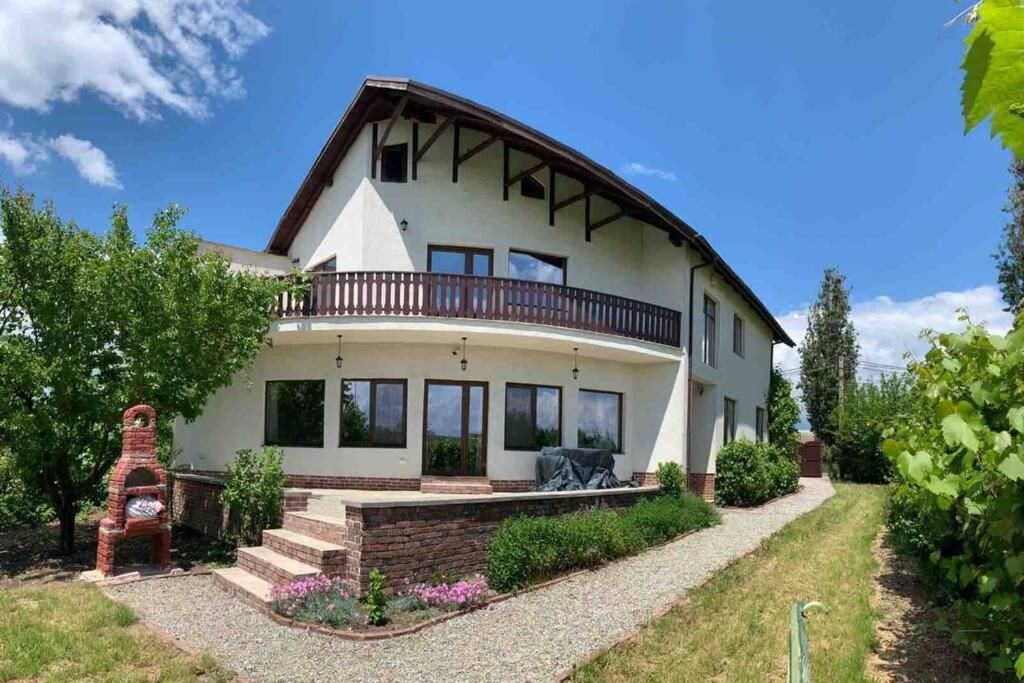 Casa Andreea. Cheerful 4-Bedroom Villa Bod Exterior foto